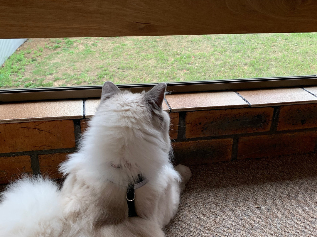 Cann River Hop Inn Motor Inn主图