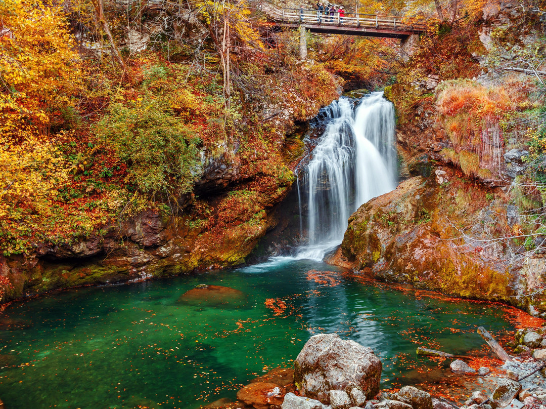 Day Trips Slovenia-卢布尔雅那必去景点