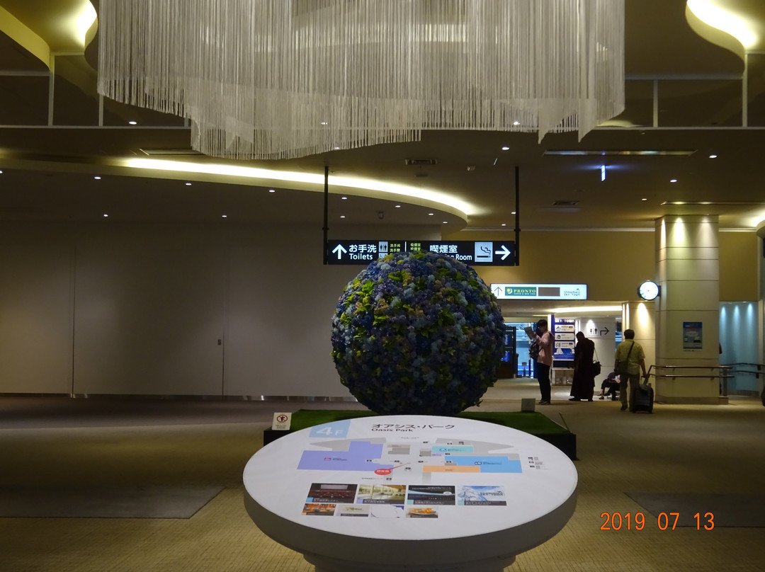 International Terminal Oasis Park-千岁市必去景点
