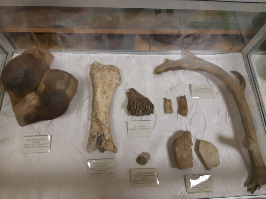 Oktyabrskiy District Museum-Oktyabrskiy必去景点