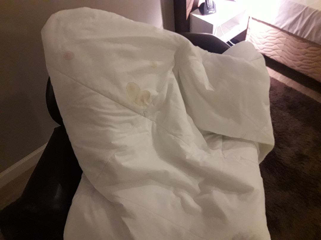 Imperatriz Hotel主图