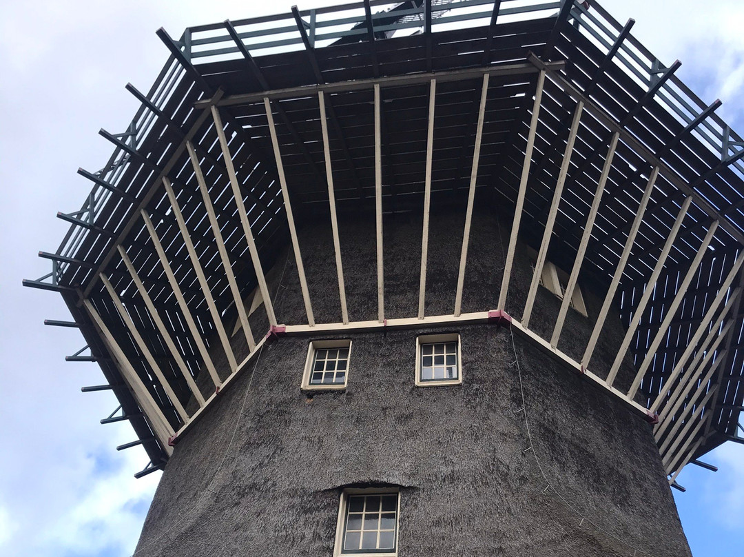 De Gooyer Windmill景点图片