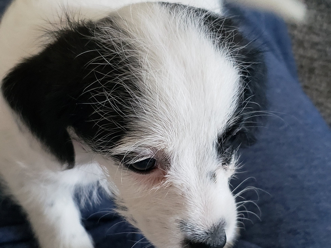 Stowe Farm-Millbury必去景点