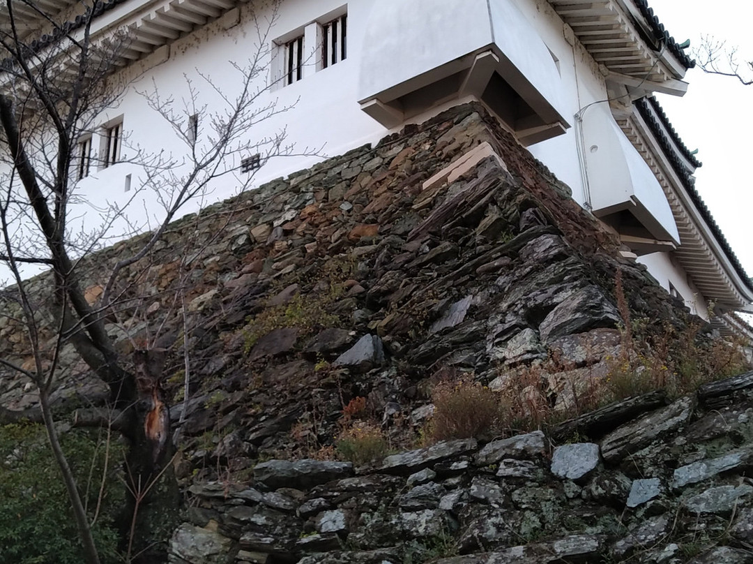 和歌山城-和歌山市必去景点