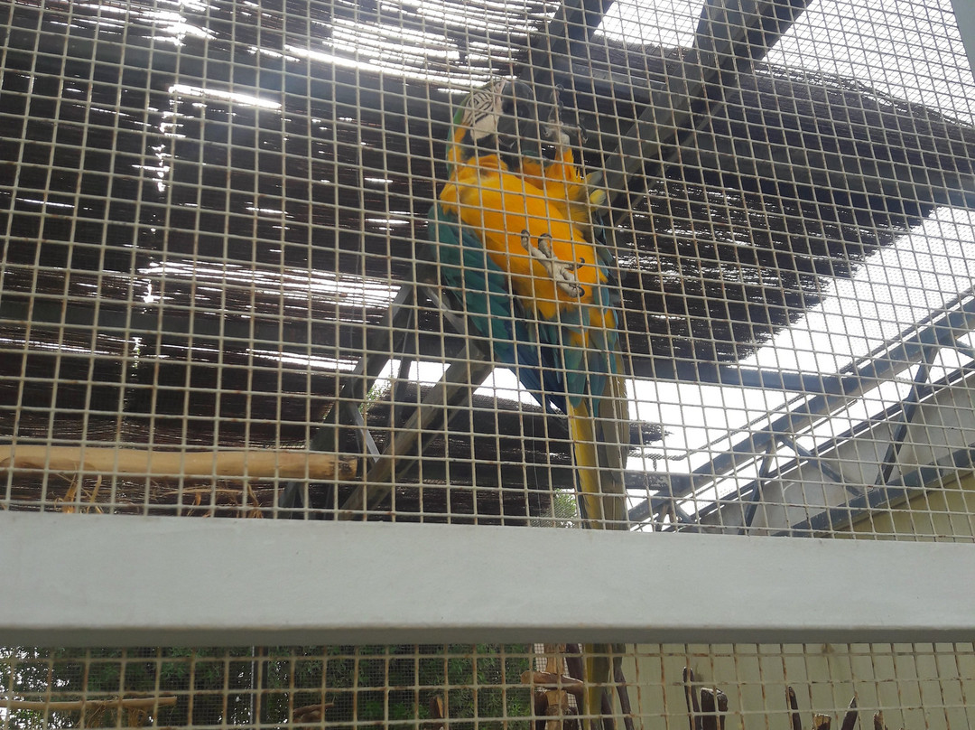 Riyadh Zoo-利雅德必去景点