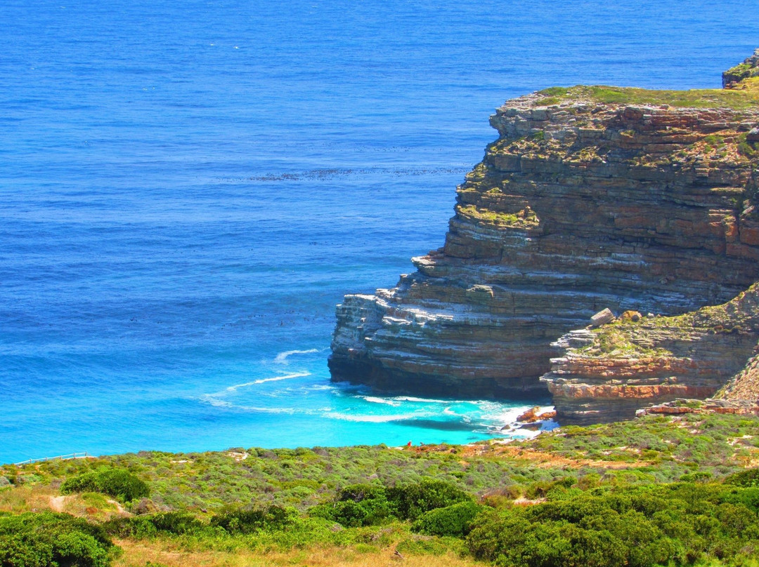African Eagle Day Tours-开普敦中心区必去景点