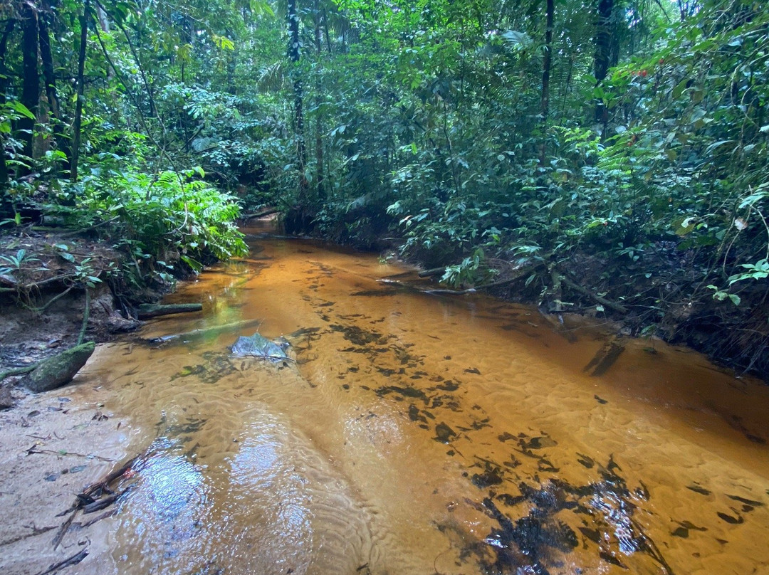 Reserva Natural Tanimboca景点图片
