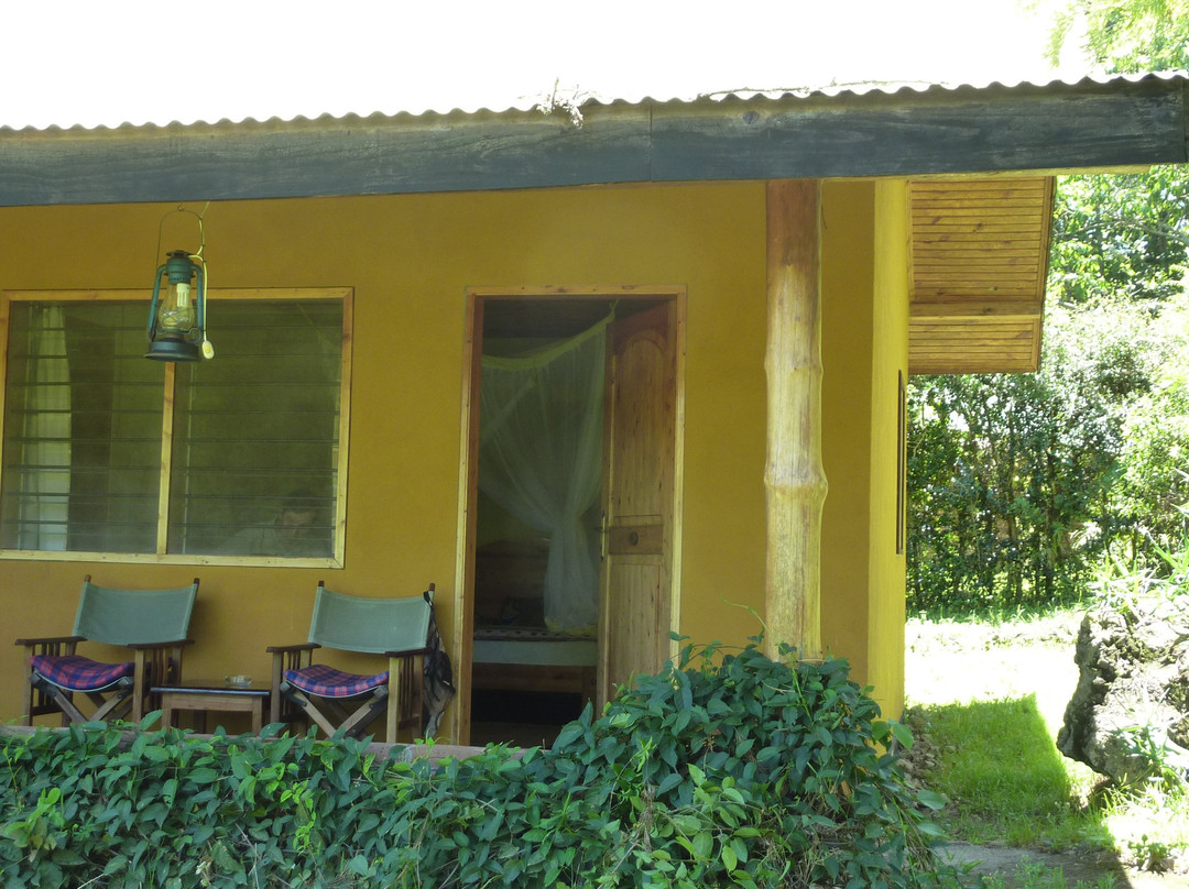 Usa River酒店住宿-Meru Simba Lodge