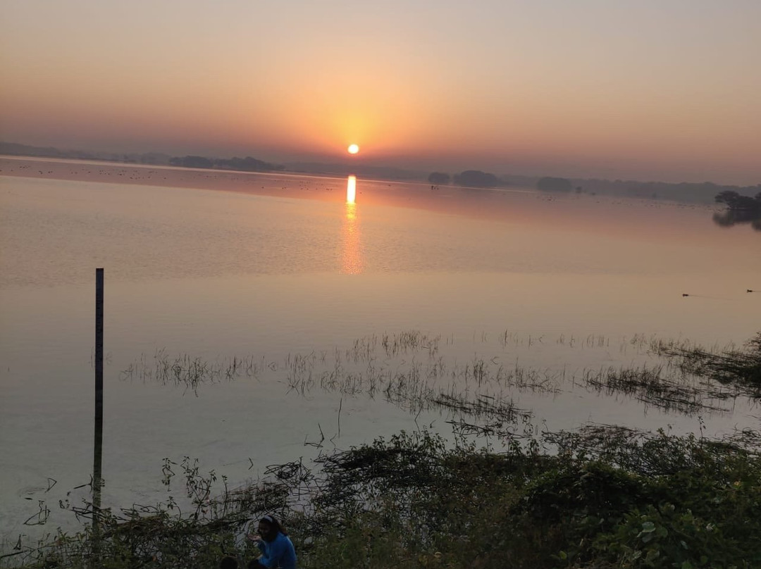 Thol Lake Bird Sanctuary景点图片