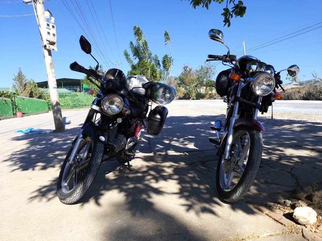 Dalat Motorbike Tours-大勒必去景点