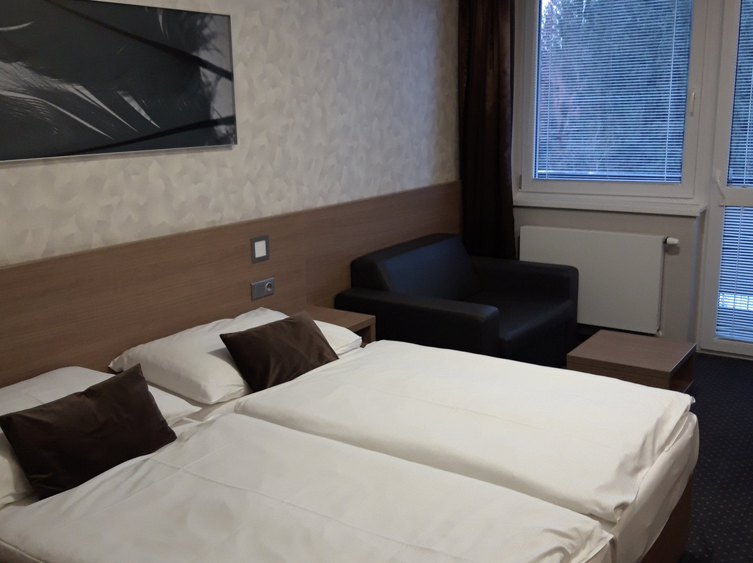 Kongres Hotel Jezerka主图