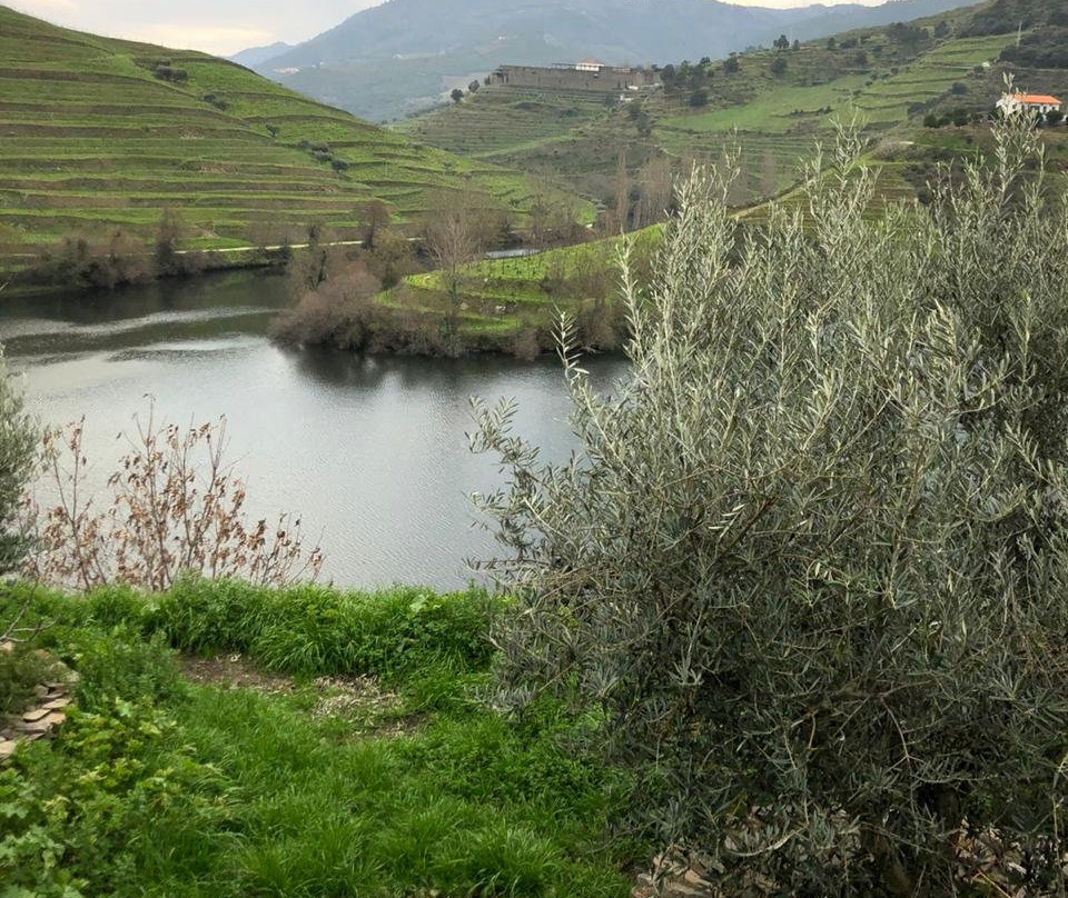 Quinta do Tedo主图