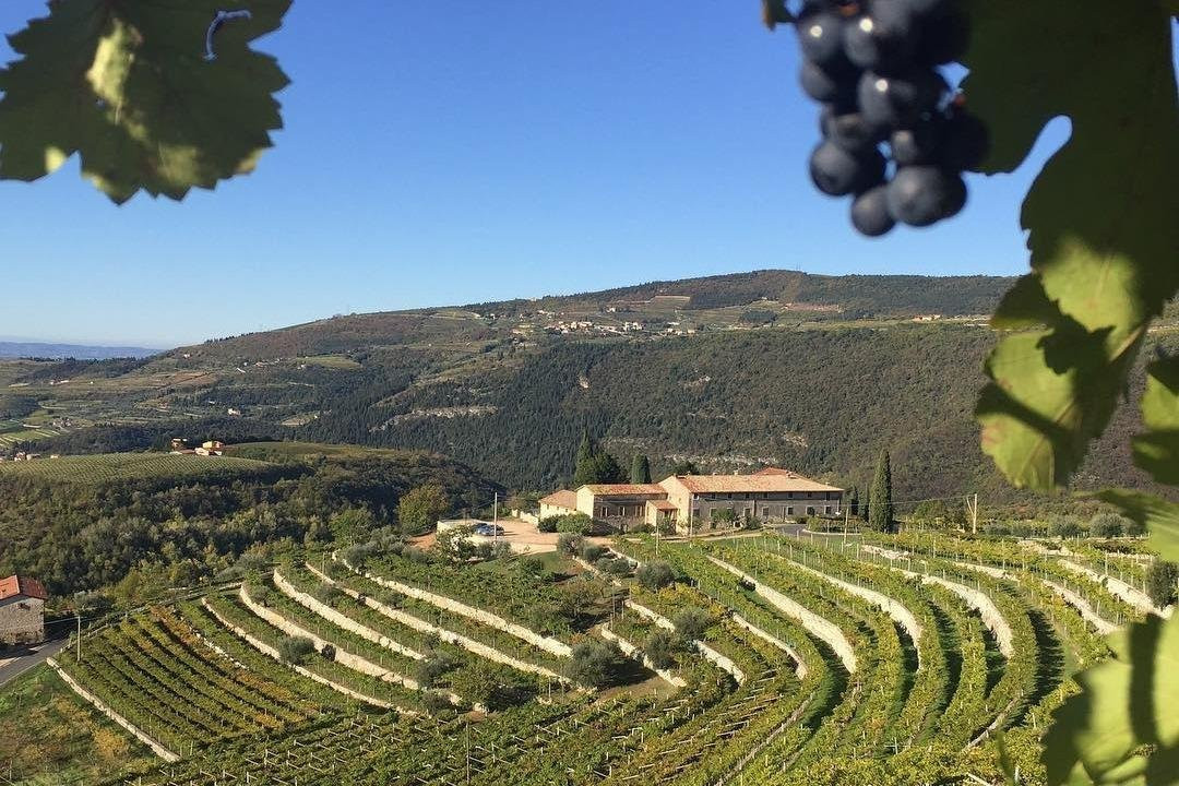 TENUTA SANTA MARIA VALVERDE景点图片
