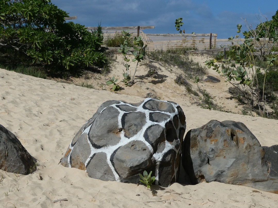 Kanaha Beach Park-卡胡卢伊必去景点