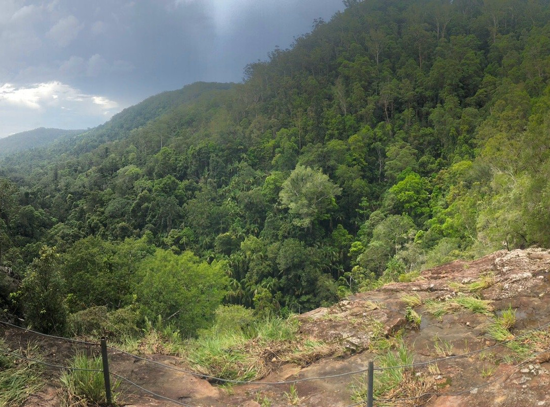 Kondalilla National Park景点图片