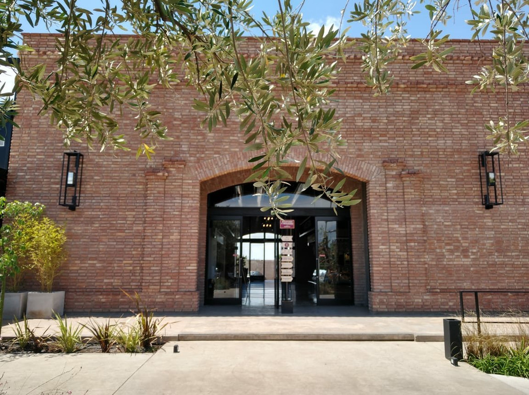 Il Mercato Maipu-Maipu必去景点