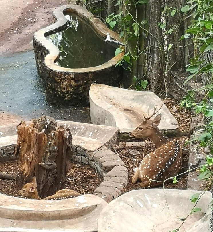 National Zoological Gardens of Sri Lanka景点图片