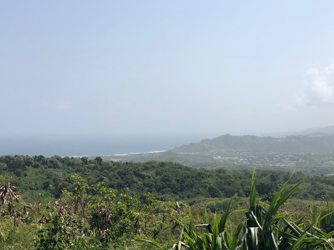 Farley Hill National Park-Saint Peter Parish必去景点