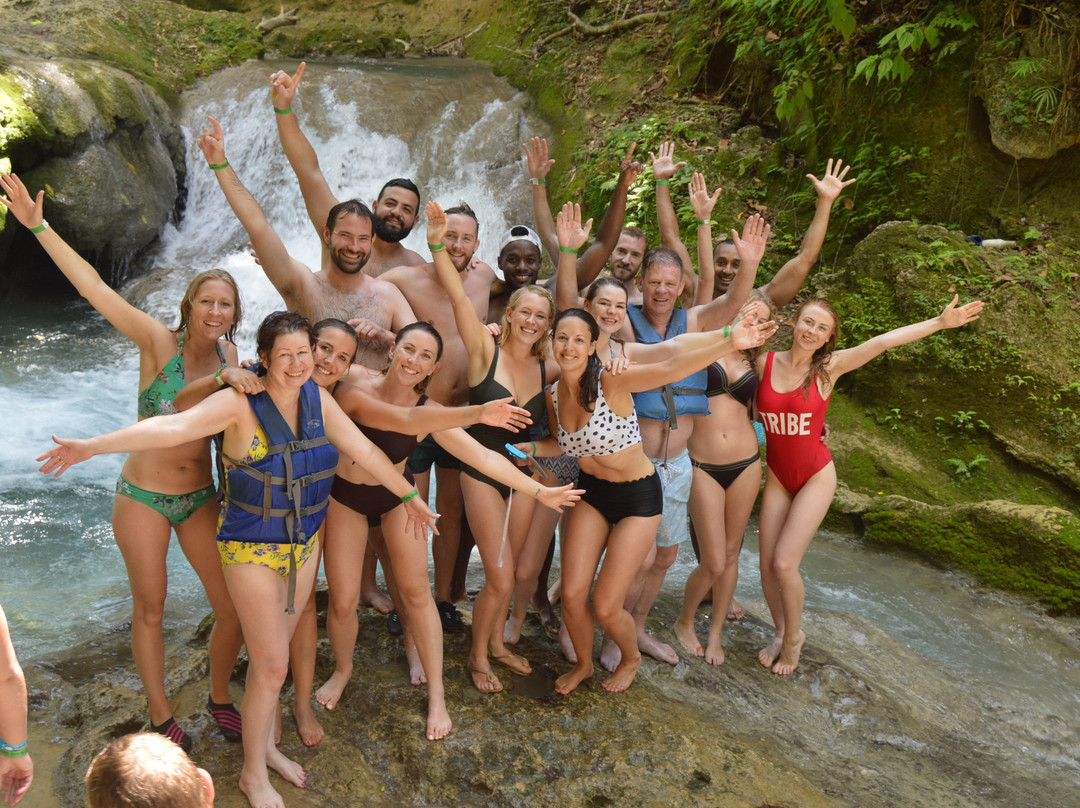 Chris Jamaica Tours - Private Tours景点图片