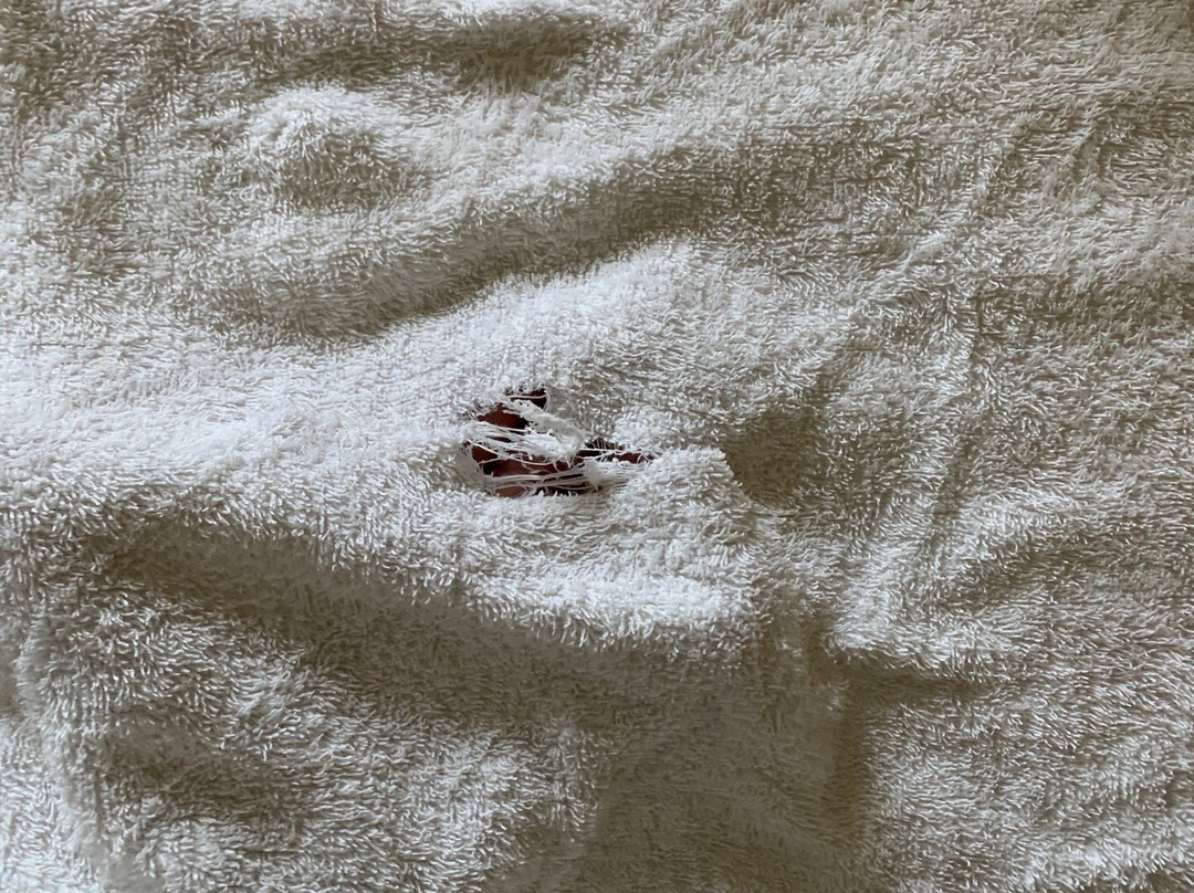 Montana Parkhotel Marl主图