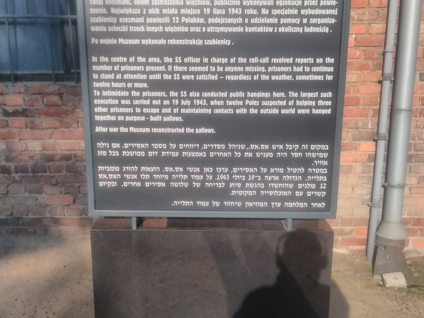 Auschwitz & Birkenau Tours - Shared Group Tours or Private Transport-克拉科夫必去景点