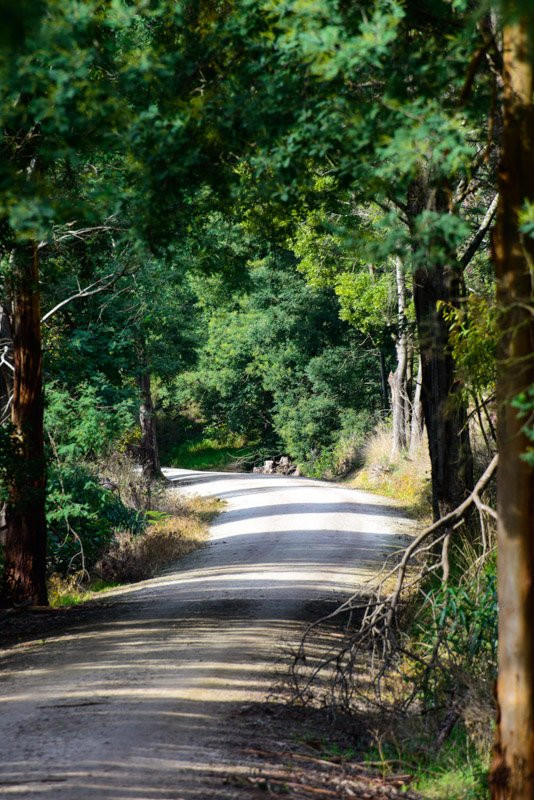 Great Southern Rail Trail-Toora必去景点
