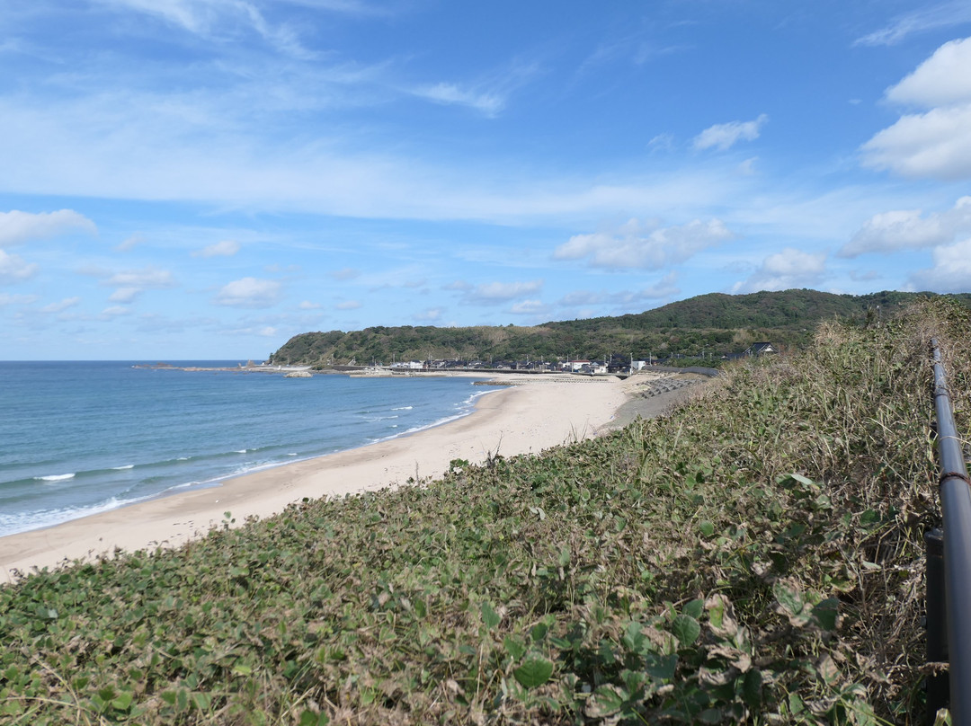 Kotogahama Beach景点图片