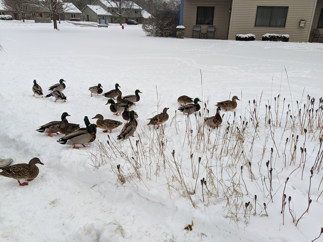 Tamarack Wisconsin Dells a Ramada by Wyndham主图