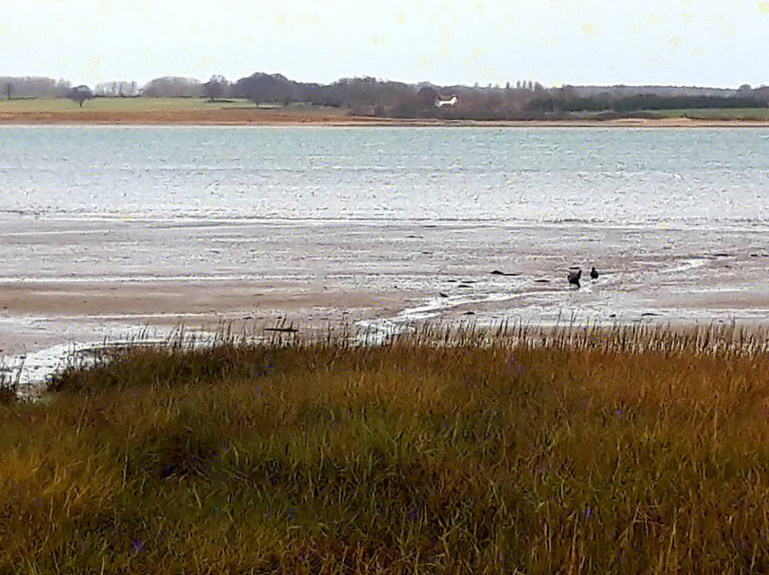 Wrabness Nature Reserve景点图片