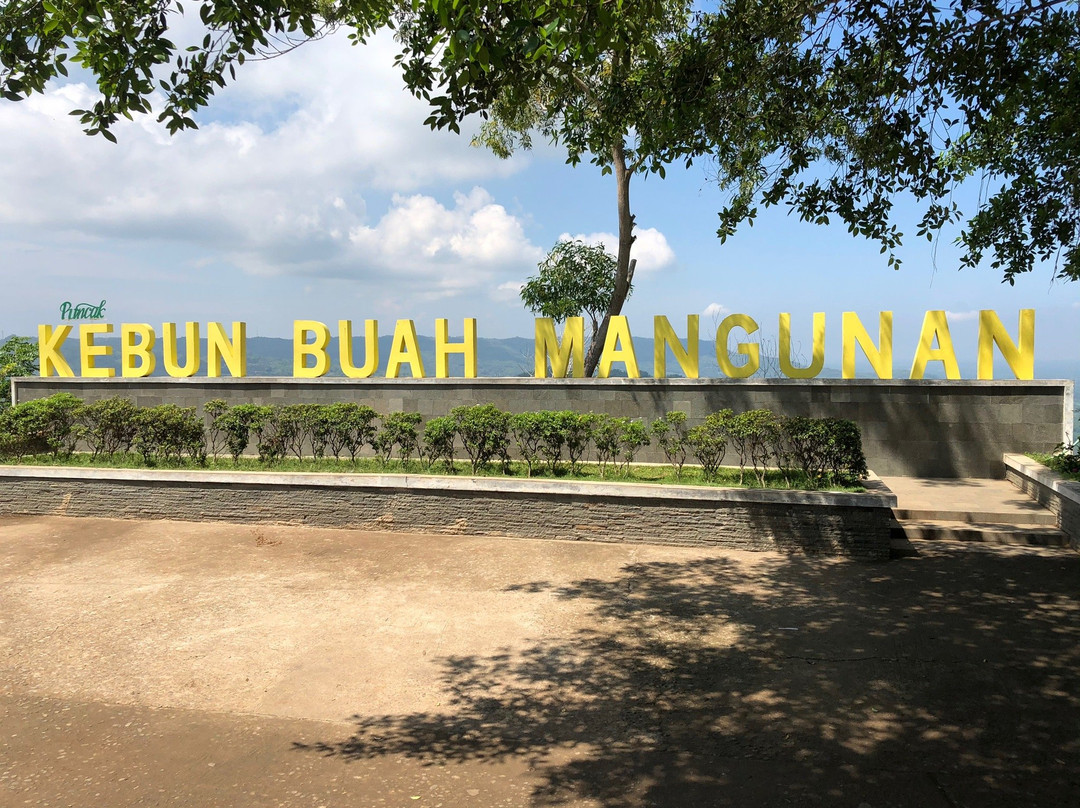 Yogyakarta Local Tours-日惹必去景点