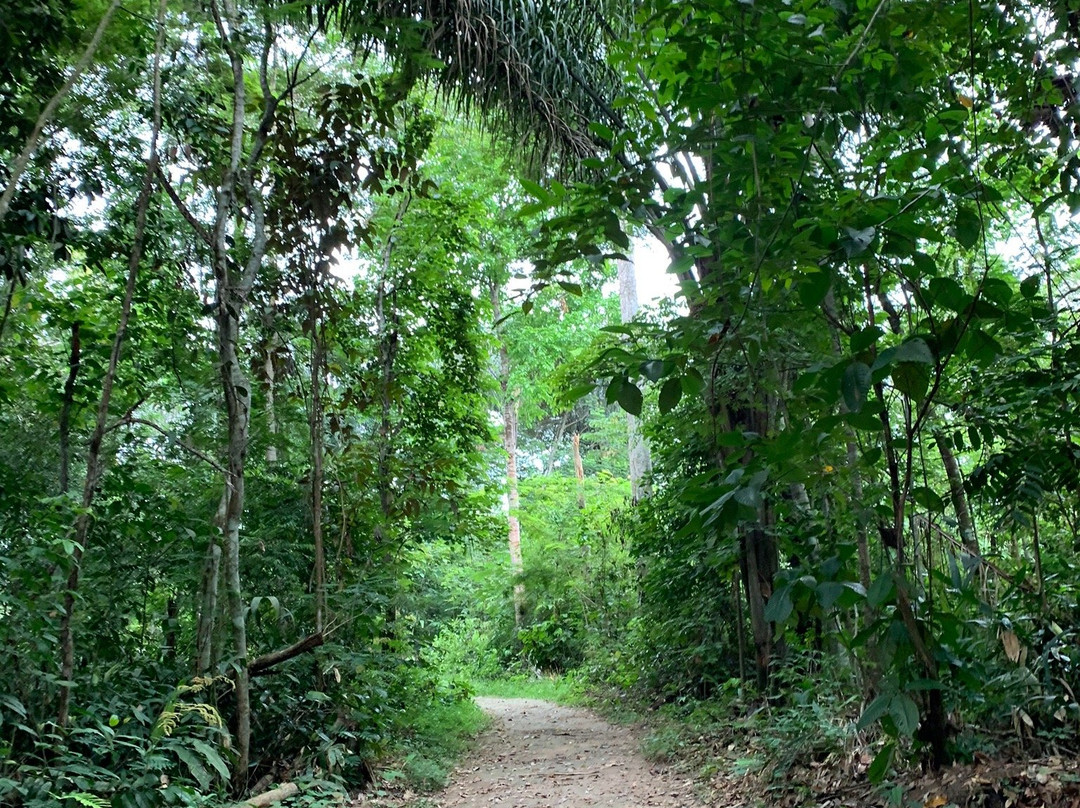 Parque Botanico-Ariquemes必去景点