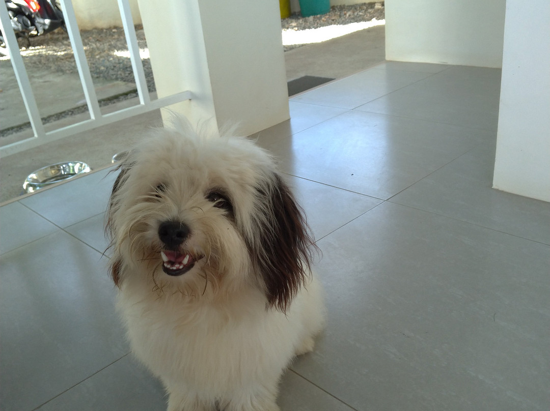 Villa del OZ Resort主图