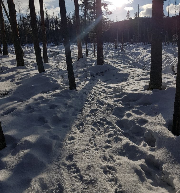 Wielki Kopieniec-扎科帕内必去景点