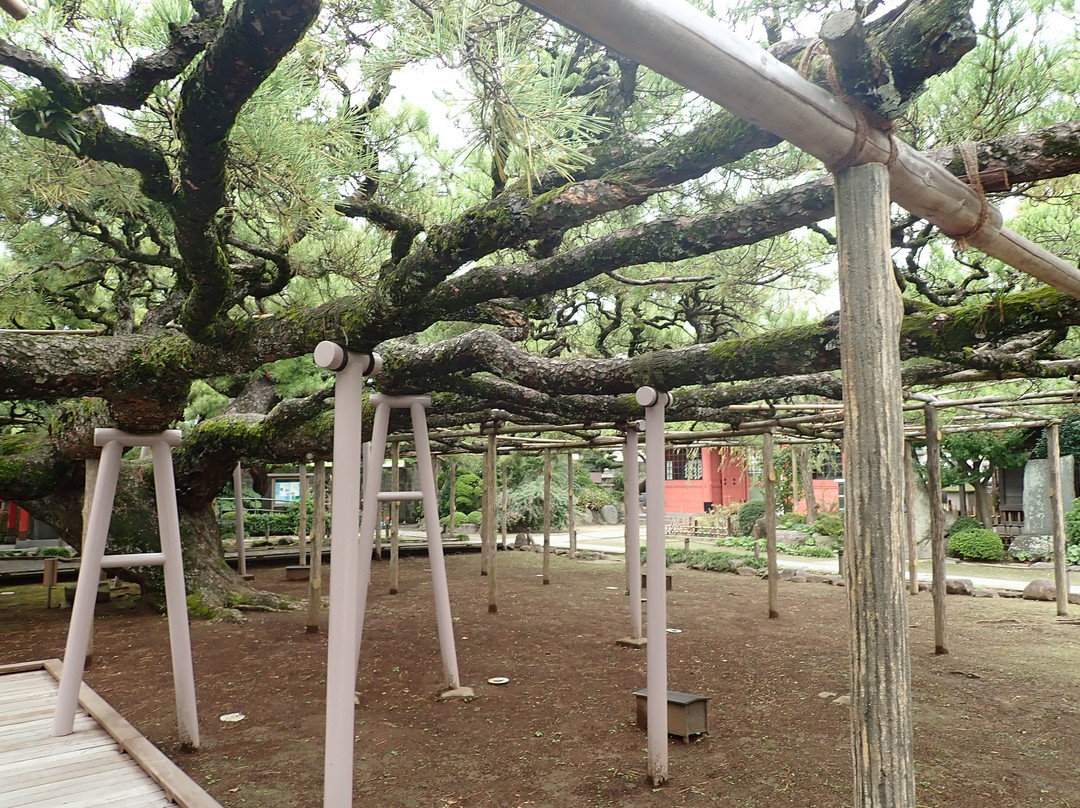 Zenyoji Temple景点图片