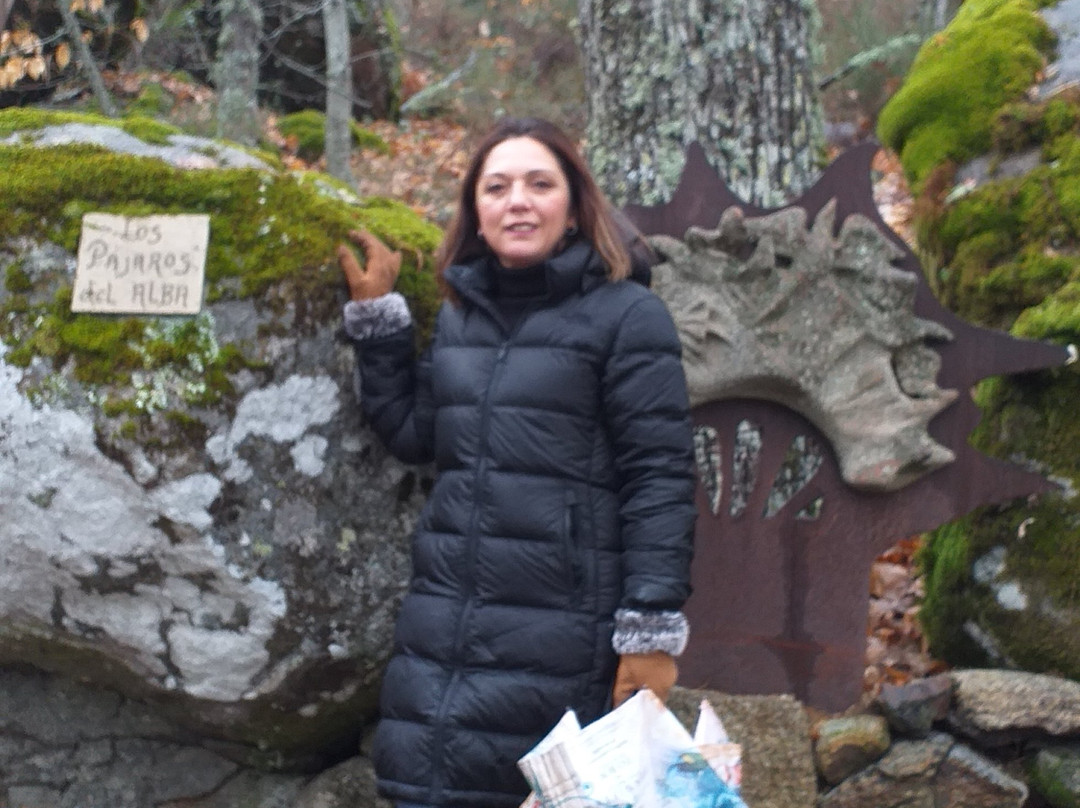 Ruta Asentadero - Bosque de Los Espejos景点图片