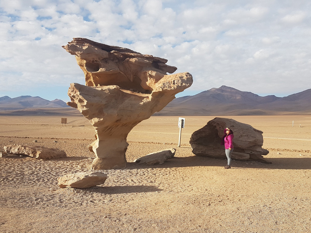 Arbol de Piedra-乌尤尼必去景点