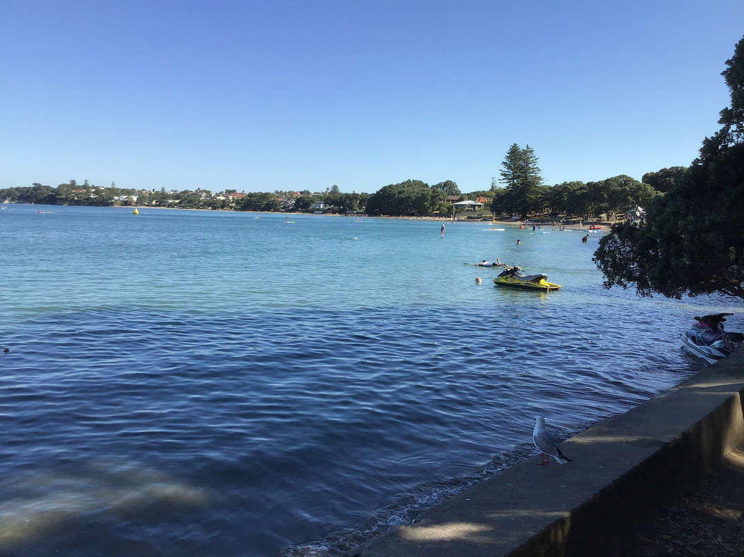 塔卡普纳海滩-奥克兰中心地区必去景点