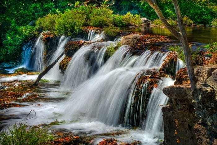 Monteverde Tours-Cerro Plano必去景点