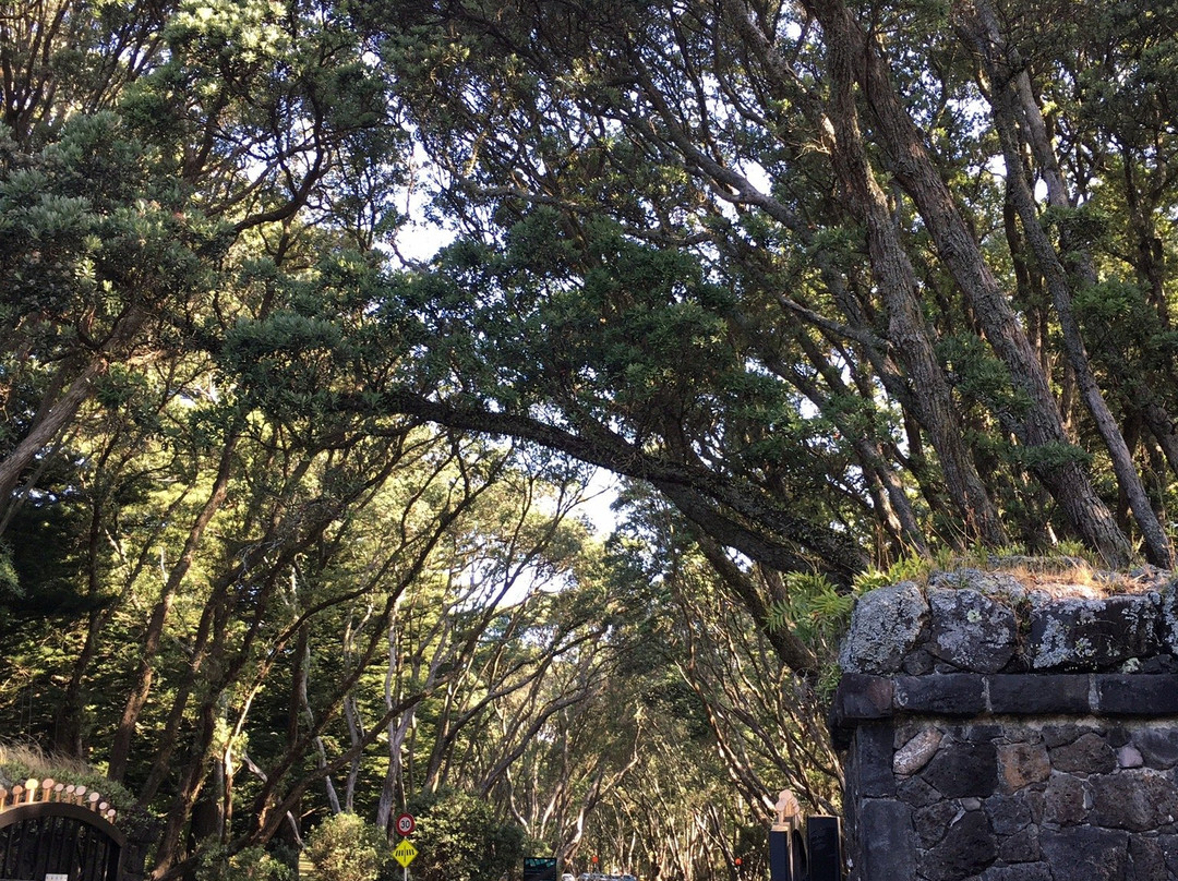 康沃尔公园汽车旅馆主图