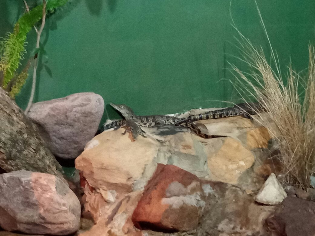 Crocworld Conservation Centre-Scottburgh必去景点