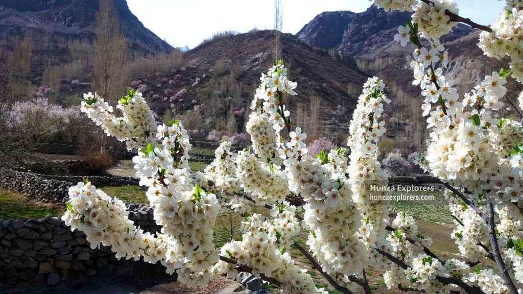 Hunza Explorers-罕萨必去景点