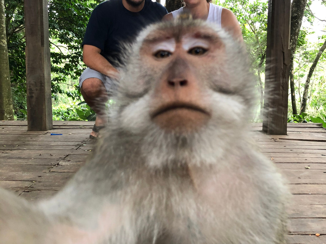 Casta Bali Driver-乌布必去景点