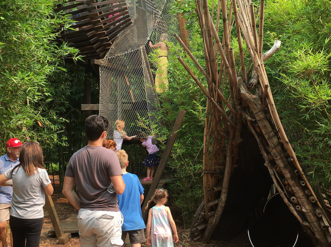 The Ian Potter Children's Wild Play Garden景点图片