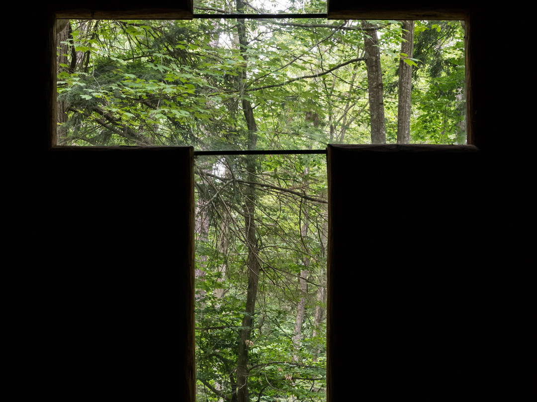 Hartwick Pines State Park景点图片