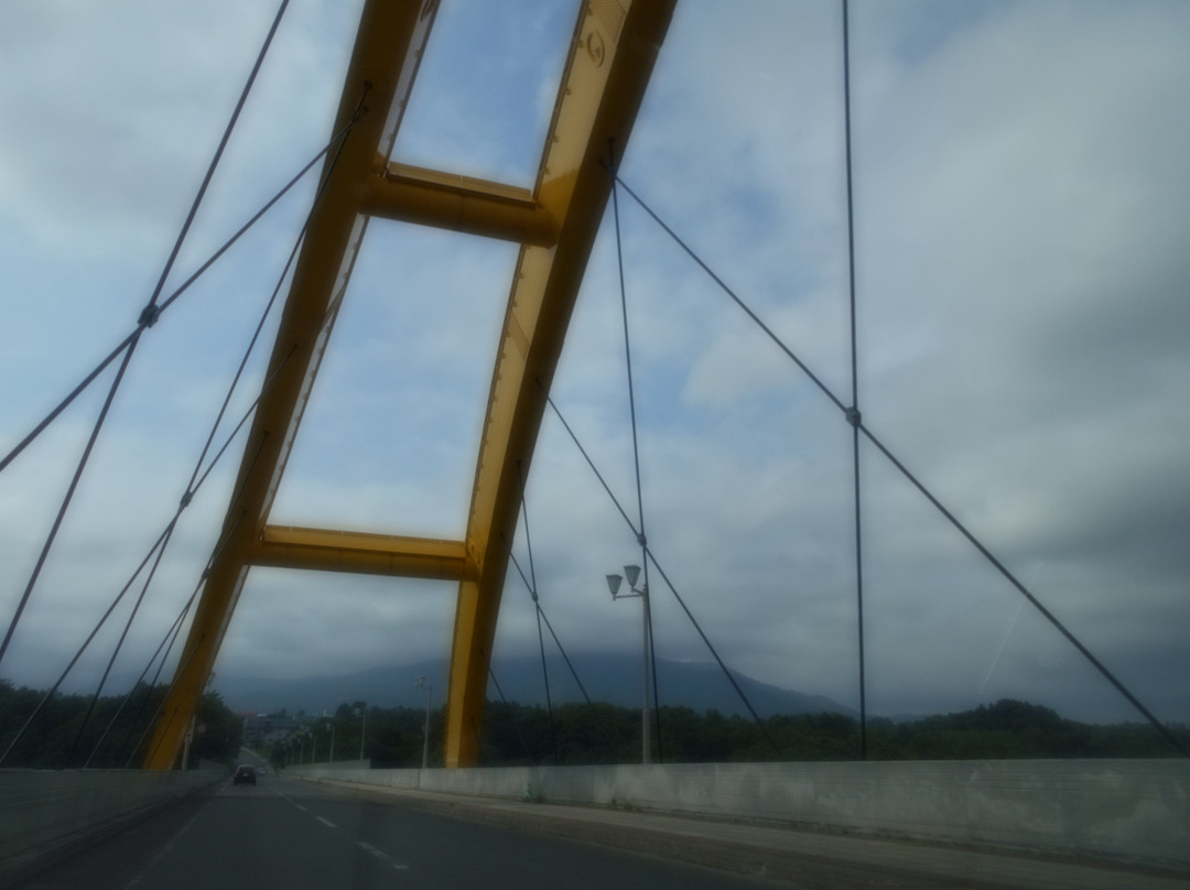 Niseko Ohashi Bridge景点图片