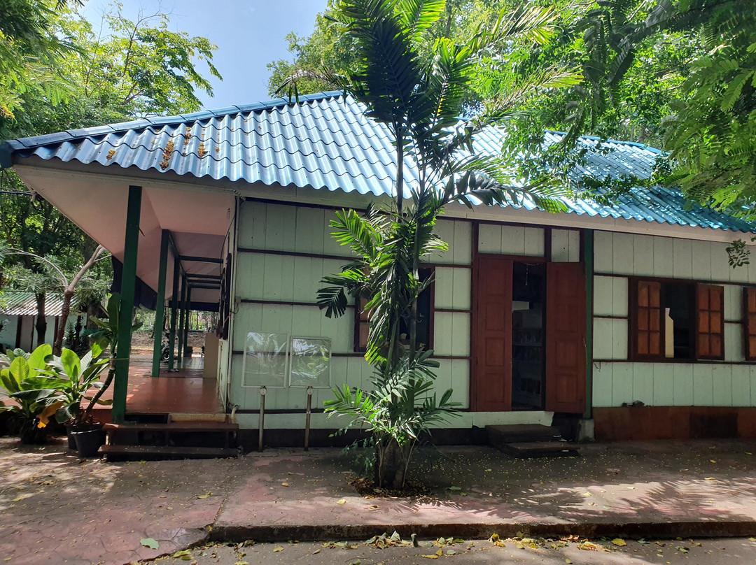 Bueng Kaen Nakhon Public Park景点图片