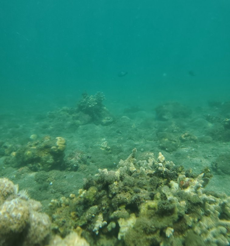 Bubblemaker Dive and Beach Resort主图