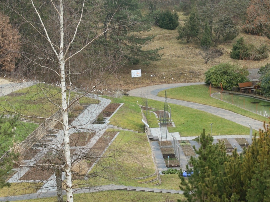 Botanischer Garten der Universitat Tubingen景点图片