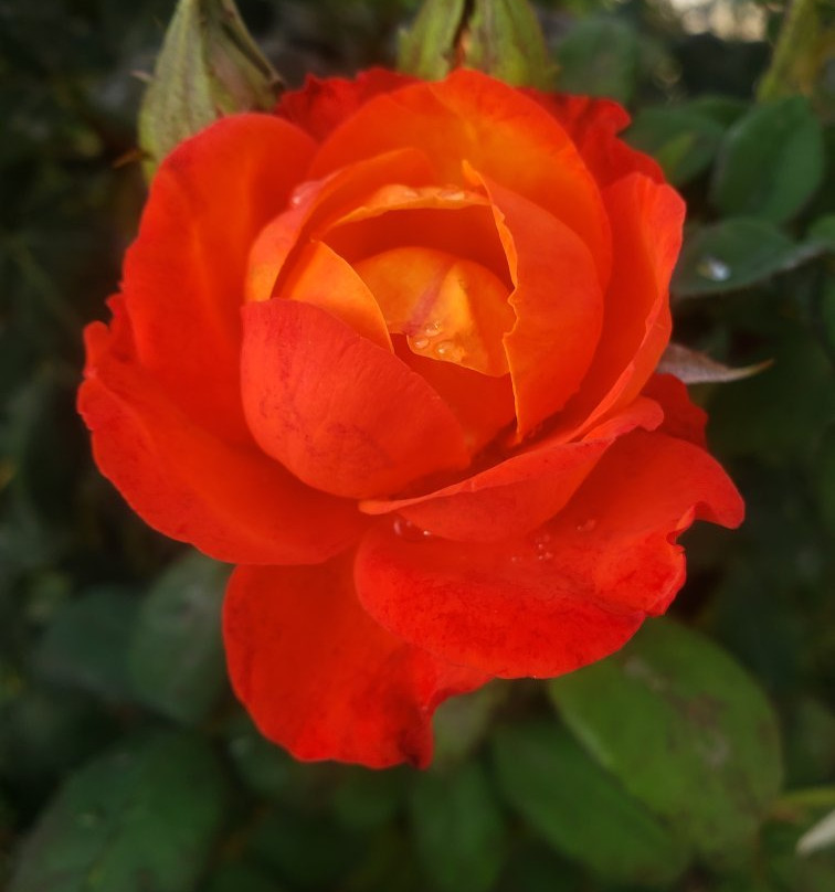 Twalumba Lodges主图