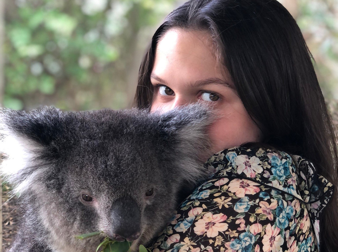 Fraser Coast Wildlife Sanctuary景点图片